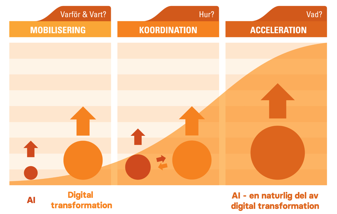 Digital Maturity Matrix - AI and digital transformation