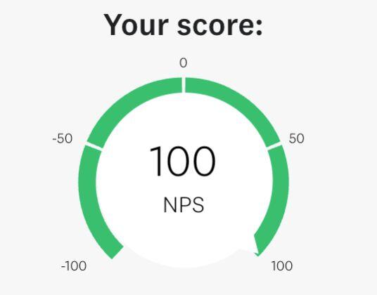 NPS 100